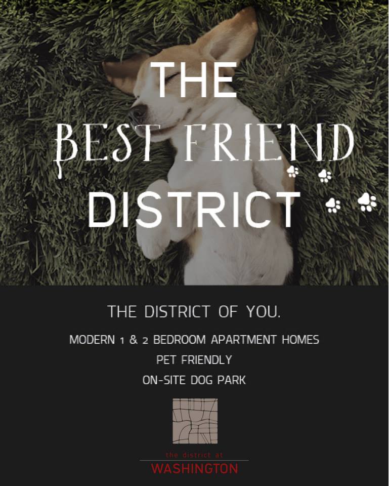 District-BestFriend